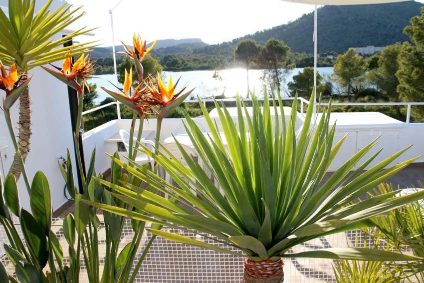 Beach Inn Apartment Alcudia  Exterior photo